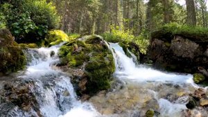 горный ручей/ручей/Удивительная красота природы/журчание воды/звук ручья для сна