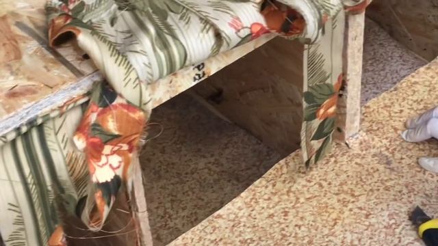 Когда начинать приучать цыплят к гнездам для яйценоскости