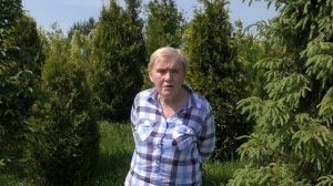 Наш питомник.