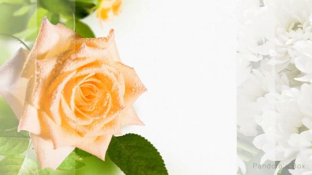 Веерные переходы - 2 | ProShow Producer Transitions смотреть онлайн