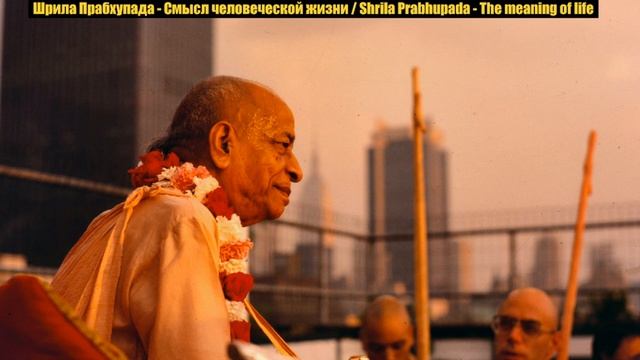 Шрила Прабхупада. Смысл человеческой жизни.