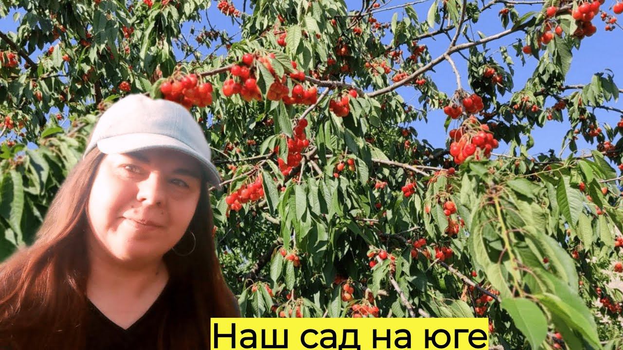 ЧТО РАСТЕТ В НАШЕМ САДУ НА ЮГЕ ☀️Переезд на юг в Краснодарский край