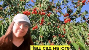 ЧТО РАСТЕТ В НАШЕМ САДУ НА ЮГЕ ☀️Переезд на юг в Краснодарский край