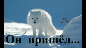 Энергетическая автономность. Солнечные батареи  часть-1