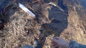 На Аргази за окунями.РЫБАЛКА весной 2020.