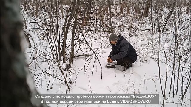 Чай в березовом лесу смотреть онлайн