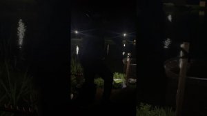 Платный водоем Верзилово