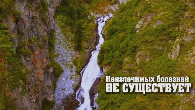 Проект "Жизнь"Алтай 2018 смотреть онлайн