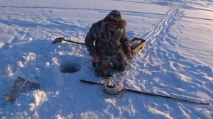 Проверка тычек на налима в декабре. Река Алдан.