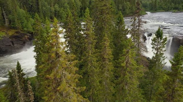 Музыка расслабляет нервную систему,улучшает память-Успокаивающая музыка успокаивает нервную систему смотреть онлайн