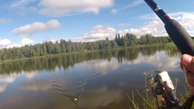 ВОТ ЭТО КАРАСИ!!! КРУПНЫЙ КАРАСЬ В МАЛЕНЬКОМ ПРУДУ! смотреть онлайн