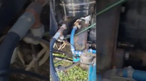 купили хино 300 готовим к работе и зиме.