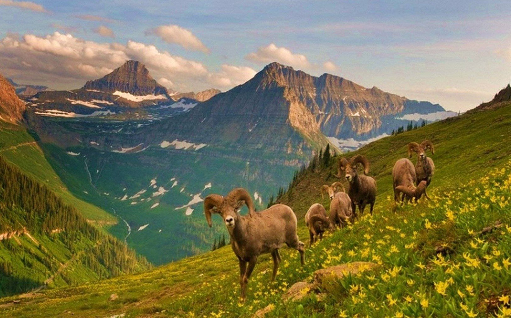 Суть каждой