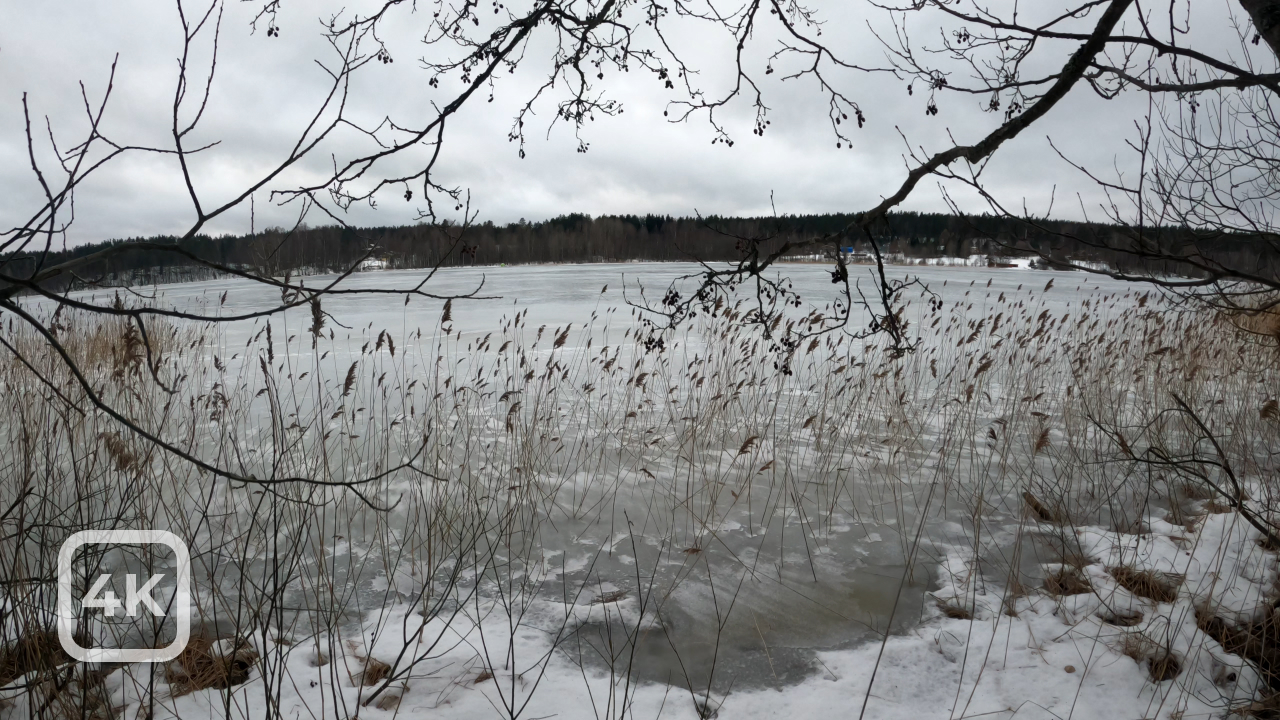 Зимняя прогулка. Михалёвское озеро [4K] / Winter walk. Mikhalevsky lake