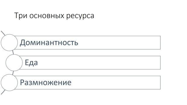 Мужчина всегда прав