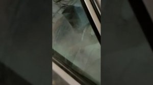 СУХОЙ туман.Запах черный лёд!