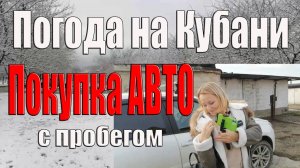 Погода на Кубани радует Авто с пробегом  Покупка иномарки в гаражах Архив