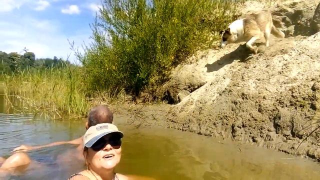 Какая хорошая собака! смотреть онлайн