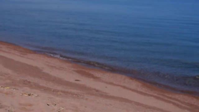 Мусор на берегу Иссык-Куля. Клуб Путешественников Gde.kg смотреть онлайн