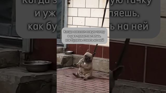 Когда накопил на автомобиль мечты