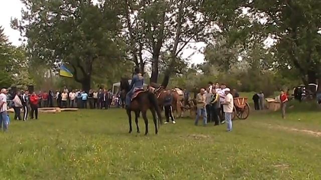 Кони мои кони! 17.05.2014г. №3 Продвигаемся в первый ряд.... смотреть онлайн
