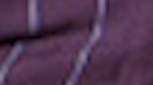 ПОХОРОНЫ ИЗВЕСТНОГО ДРЕССИРОВЩИКА МИХАИЛА БАГДАСАРОВА