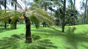 Территория отеля Muine De Century Beach Resort & Spa 4