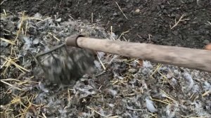 1-‼️КТО-ТО ИЩЕТ ПРОСТОТУ МЫШЛЕНИЯ//Какие удобрения вносят осенью в почву//Птичий помёт как удобрени