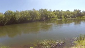 Крэнк или микроколебалка? Ловля голавля на перекате.