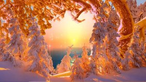 Зимний лес.- (футаж)