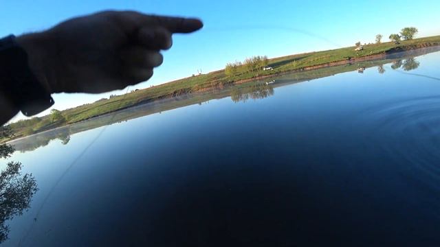 ПОКЛЕВКА И ВЫВАЖИВАНИЕ КАРПА НА ДОНКУ смотреть онлайн