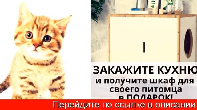 Кухня на заказ Новосибирск цена
