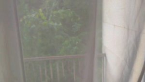 Гостиницы Москвы - гостиница Узкое