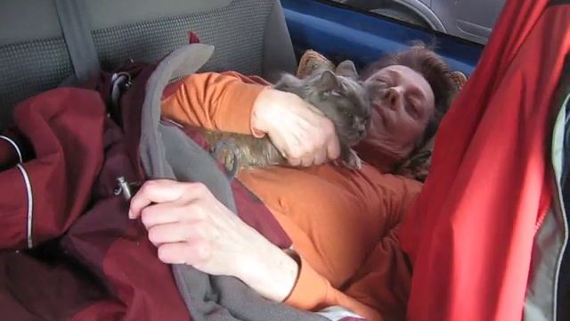 2  ДЕНЬ ! ЕДЕМ ИЗ КАРЕЛИИ В КРАСНОДАР НА 1 МАЯ !  ДНЕВНОЙ СОН В МАШИНЕ !