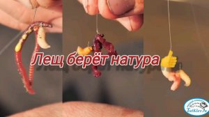 На что ловить леща весной? Какие наживки использовать на леща? Рыбалка на леща весной!Лещ дуреет 😳!