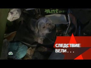"Следствие вели...": "Дело живодеров"