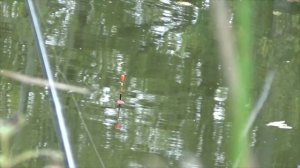 Рыбалка на поплавок! Чужой в водоёме! .mp4