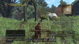 A Private Server for Dragon's Dogma Online Game (Still in Development)