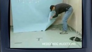 Ретро-реклама Sonic Adventure 2"?со сверхспособностями трудно найти" #sonic #ретроигры #реклама