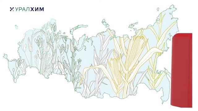 Линейка водорастворимых удобрений Solar от Группы "Уралхим" смотреть онлайн