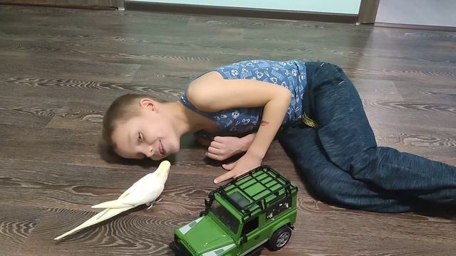 телячьи нежности)