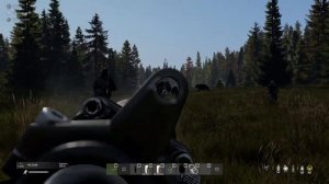 Нападение медведей )))