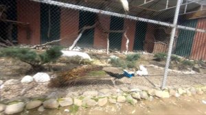 Масаллы. Зона отдыха. Водопад Текдам.