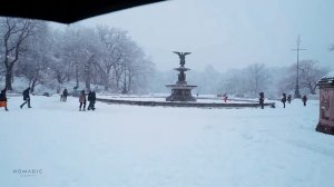 Snowfall in Central Park, New York