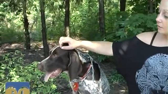 Звірі в квартирі 11.07.15 смотреть онлайн