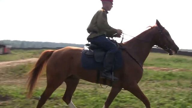 Бегаем по полю... смотреть онлайн