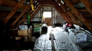 Как избавится от мух на чердаке