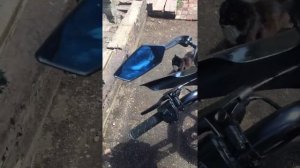 Рейсер Тигр 150