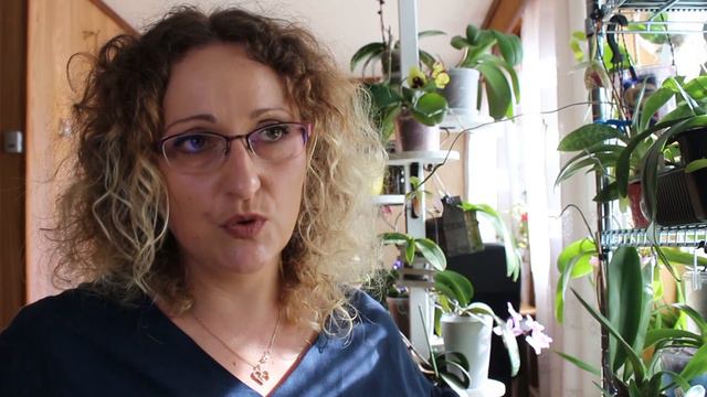 ЛЮБЛЮ ХОДИТЬ В ВЫШИВАНКЕ по Норвегии. ВидеоОБЗОР. смотреть онлайн