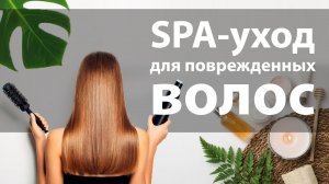 Spa-уход для поврежденных волос. Verba Mayr.